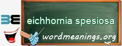 WordMeaning blackboard for eichhornia spesiosa